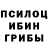 Галлюциногенные грибы Psilocybe TONNY star