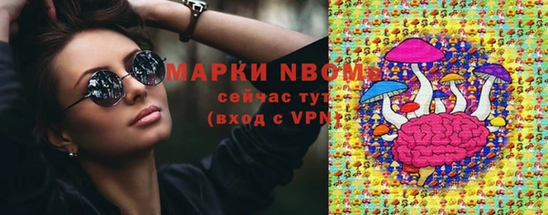мет Алексин